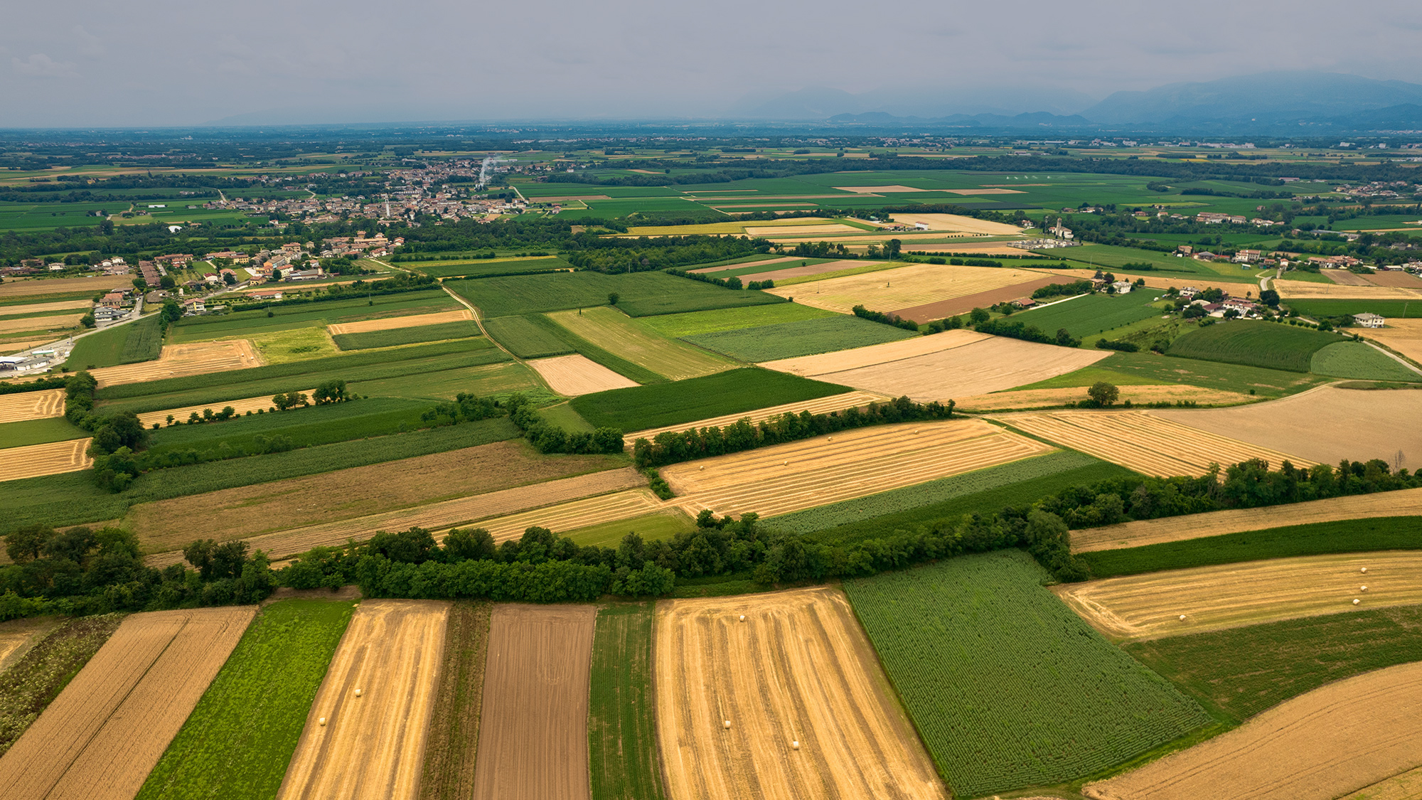 Slideshow Home - Slideshow 1